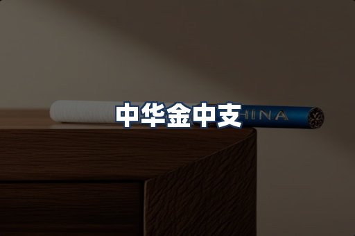 中华金中支